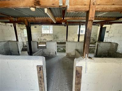 Picture 20